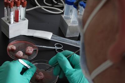 Russian Genetics Head Ousted Over Controversial Lifespan Claims Linked to Biblical Flood