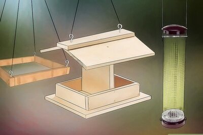 How to Attract Birds to Your Garden