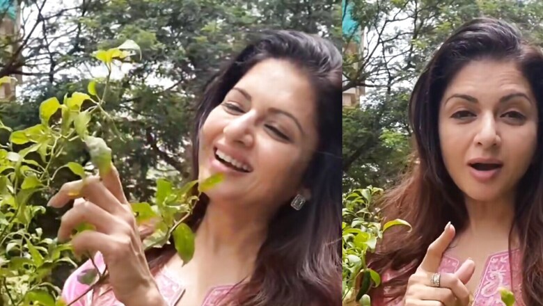 Bhagyashree Explains Why She Loves Eating Green Chillies; Read Health Benefits Here