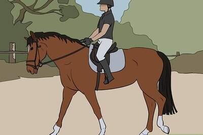 How to Avoid Falling off a Horse