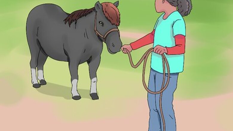 How to Play with Your Horse/Pony