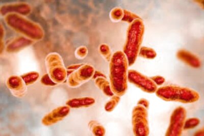 Thousands in China Test Positive for a Bacterial Infection That Can Leave Men Infertile