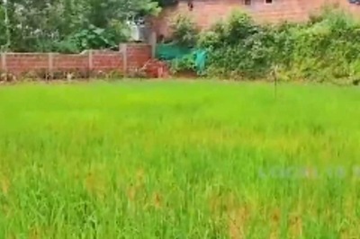 Sullia School Transforms Playground Into Paddy Field for Hands-On Agriculture Lessons