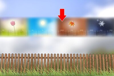 How to Apply Milky Spore