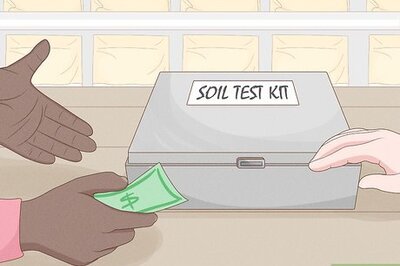 How to Make Hydrangeas Purple