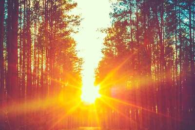 Aaj Ka Panchang, February 26, 2024: Tithi, Vrat, and Today’s Shubh, Ashubh Muhurat