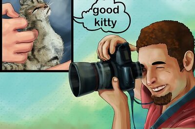 How to Photograph Your Cat's Symptoms for the Vet