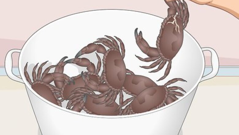 How to Transport Crabs