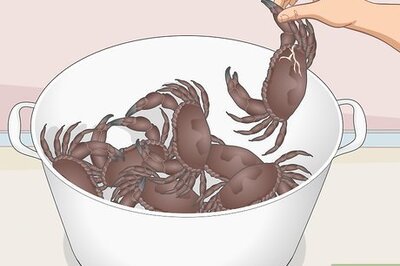 How to Transport Crabs