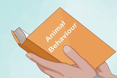 How to Start a Pet Photography Business