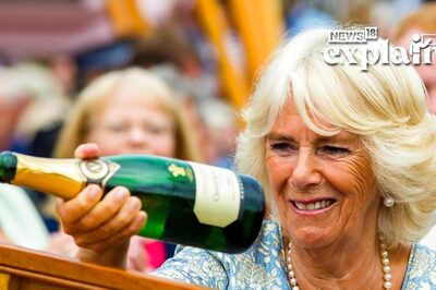 From 'The Other Woman' to Queen Consort Camilla: a Look at King Charles' 'Soulmate' | Explained