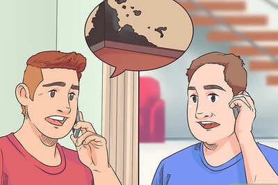 How to Report Black Mold