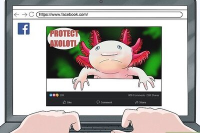 How to Help Prevent Axolotl Extinction