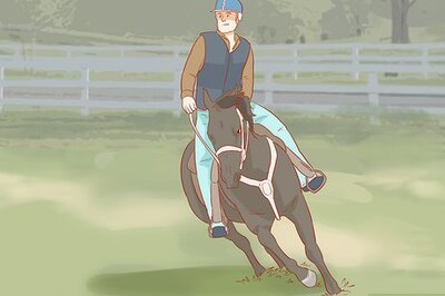 How to Avoid Injuries While Falling Off a Horse