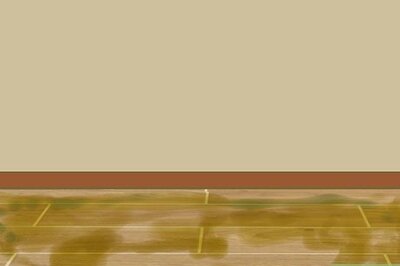 How to Remove Mold Stains from Wood Floors
