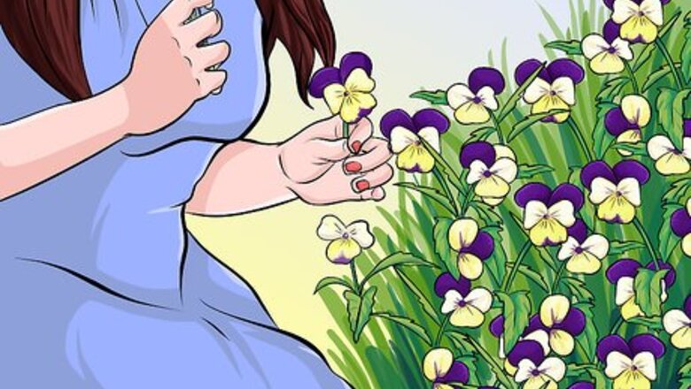 How to Eat Heartsease