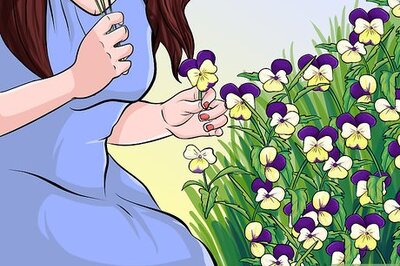 How to Eat Heartsease
