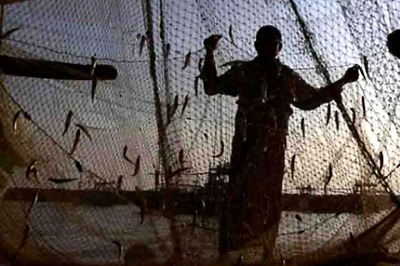 13 Tamil Nadu Fishermen Arrested by Sri Lankan Navy for Poaching in its Territorial Waters