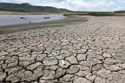 Southern India likely to see higher than normal rainfall: United Nations