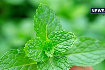 Five Tips to Save Your Kids From Heat Stroke This Summer