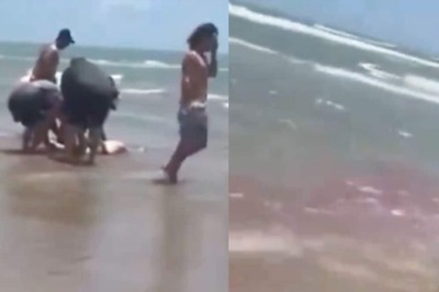 Shocking Video: Water Turns Red After US Woman Gets Bitten By Shark