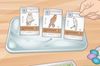 How to Play Wingspan: Game Setup, Rules, and More