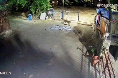 Leopard Spotted Roaming in Residential Area in Mumbai's Marol; Search On | WATCH
