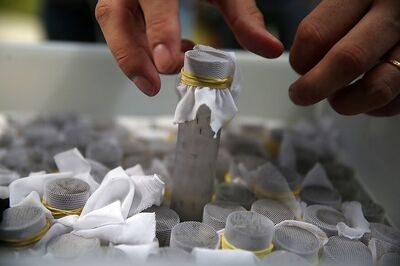 In Tamil Nadu, Longer Stay at Hospitals Deemed Better for Fight Dengue