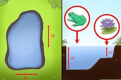 How to Add Fish to a Garden Pond