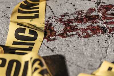 Delhi Teen Assaults Dog for Constant Barking, Kills 85-year-old Owner