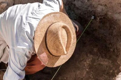 Over 1500 Skeletons Discovered At Construction Site in Germany’s Nuremberg