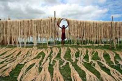 Jute is cute and eco-friendly too