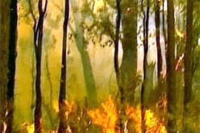 More bushfire threatens Australia