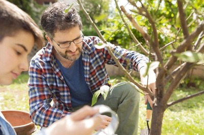 From Mental Health To Natural Remedies: How Biodiversity Depletion Is Threatening Human Health