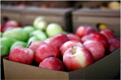 7 Winter Fruits and Their Health Benefits