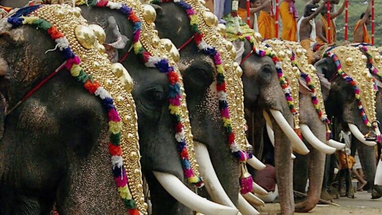 Thrissur Pooram festival starts today with riders on fireworks