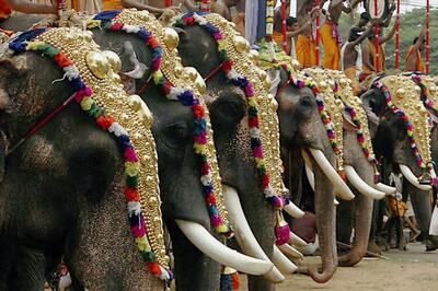 Thrissur Pooram festival starts today with riders on fireworks
