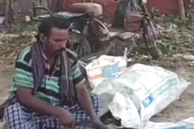 Taati Munjalu Aka Ice Apples Are Ruling Summer Fruit Markets In Visakhapatnam