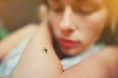 Dengue Cases Have Been Rising; Here’s How You Can Protect Yourself From The Deadly Virus