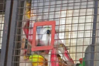 Lord Ganesha in Bengaluru Police Van: As PM Modi, BJP, VHP Express Anguish, Here's What Happened