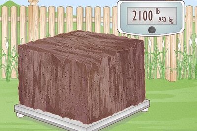 What Does a Yard of Topsoil Weigh? Dry/Wet Weights, Cost, & Coverage