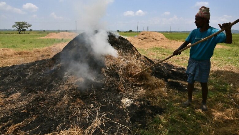 Ahead of Diwali, Govt Orders Punjab and Haryana to Completely Stop Stubble Burning for Next Few Days