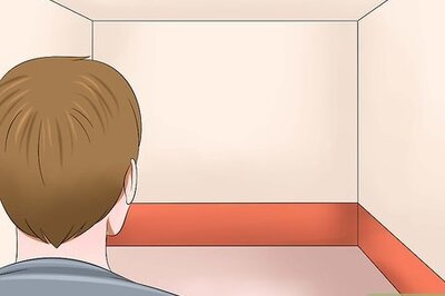 How to Socialise Timid Kittens