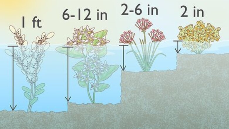 How to Plant Marginal Pond Plants