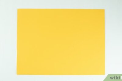 How to Make an Origami Turtle