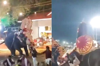 Watch: Chaos At Thrissur Pooram After Two Elephants Go Toe To Toe During Parade