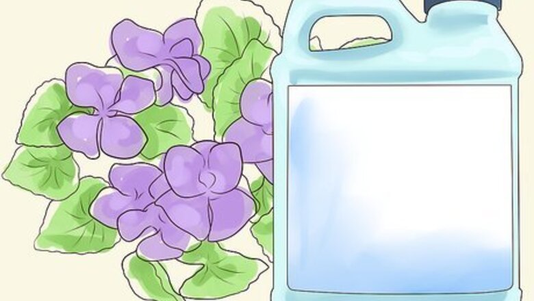 How to Control Wild Violets