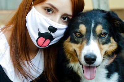 Pet Care During COVID-19: Here's All You Need to Know