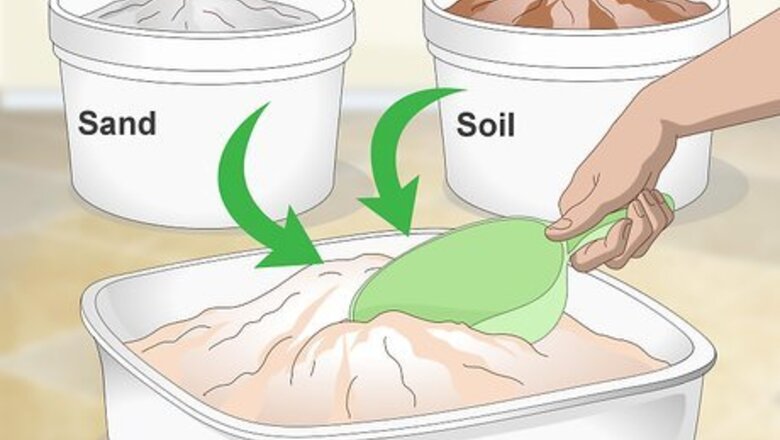 How to Decorate Your Hermit Crab's Tank