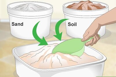 How to Decorate Your Hermit Crab's Tank